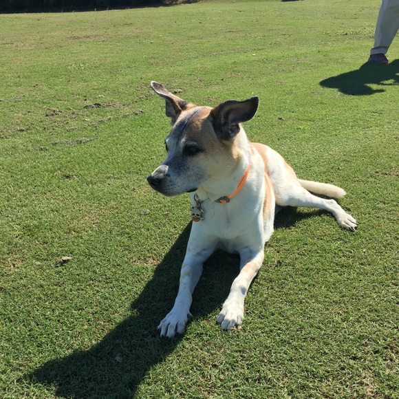 Meet your Posher, Corey - Picture 1 of 1